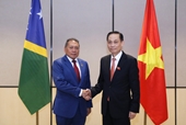 Vietnam treasures relations with Solomon Islands: FM